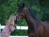 jumper Lady Dallas (German Sport Horse, 2015, from Dallas VDL Z)