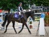 jumper Chakata (German Sport Horse, 2018, from Casario)