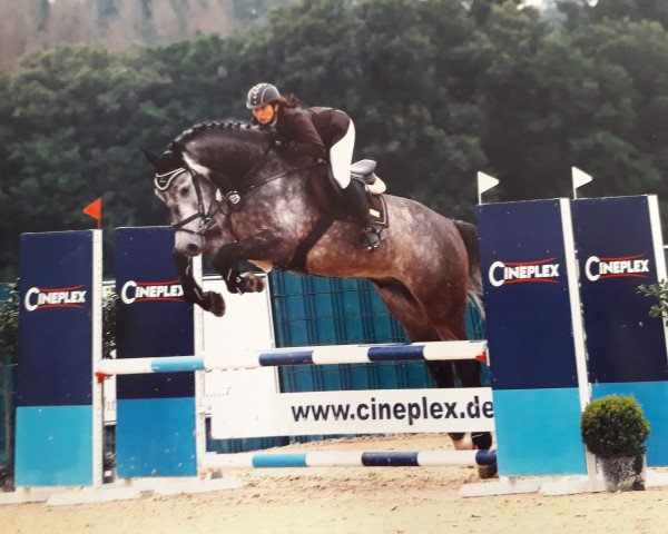 Springpferd Calvaro de L'Est (Deutsches Sportpferd, 2016, von Cocobell)