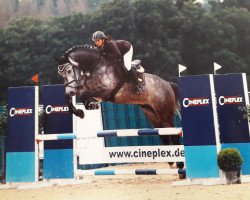 jumper Calvaro de L'Est (German Sport Horse, 2016, from Cocobell)