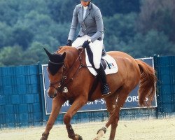 Zuchtstute Paulette (Belgisches Warmblut, 2015, von Nabab de Rêve)