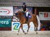 jumper Korin (Polish Warmblood, 2016, from Wolf's Panter)