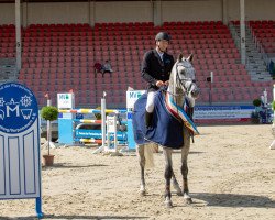 jumper Cerlino (Mecklenburg, 2015, from Clinton)