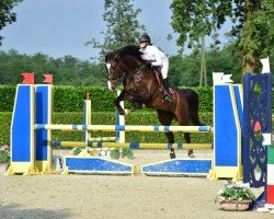 jumper Cantura II CH (Swiss Warmblood, 2017, from Comet A.S. FL.)