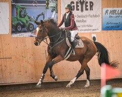 jumper Wiana CH (Swiss Warmblood, 2019, from Wiveau M)