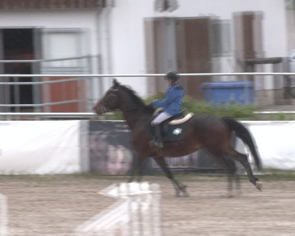 Reitturnier Margarethen am Moos 2025