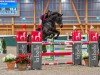 jumper H. Alme (KWPN (Royal Dutch Sporthorse), 2012, from Diamant de Semilly)