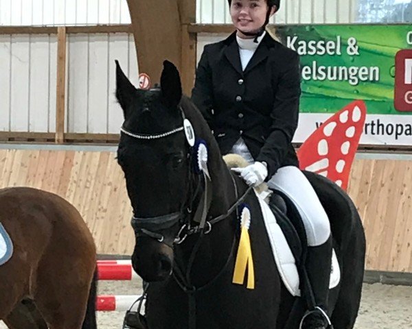 jumper Chocolate Chip 6 (Hanoverian, 2006, from Chacco-Blue)