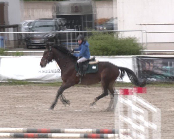 Reitturnier Margarethen am Moos 2025