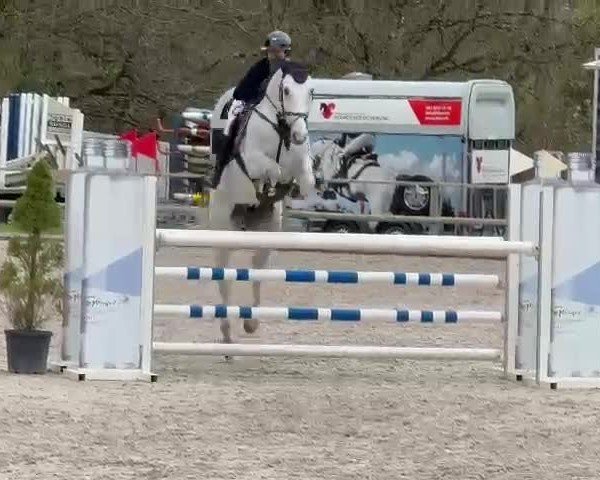 Video of Chaccio