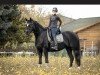 dressage horse Dream of Life 8 (Hanoverian, 2014, from Dante Weltino Old)