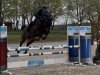 jumper Carlotta-Ann (Hanoverian, 2019, from Conthargos)