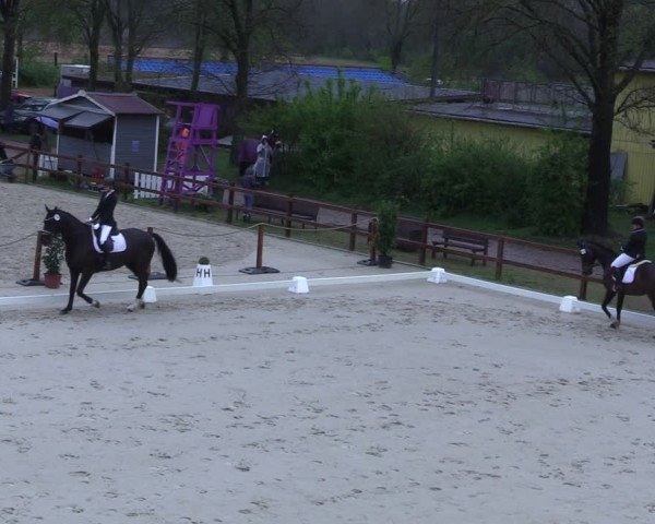 Reitturnier Scharnebeck 2025
