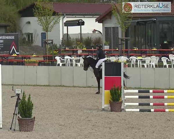 Reitturnier Grafenrheinfeld/Ufr. 2025