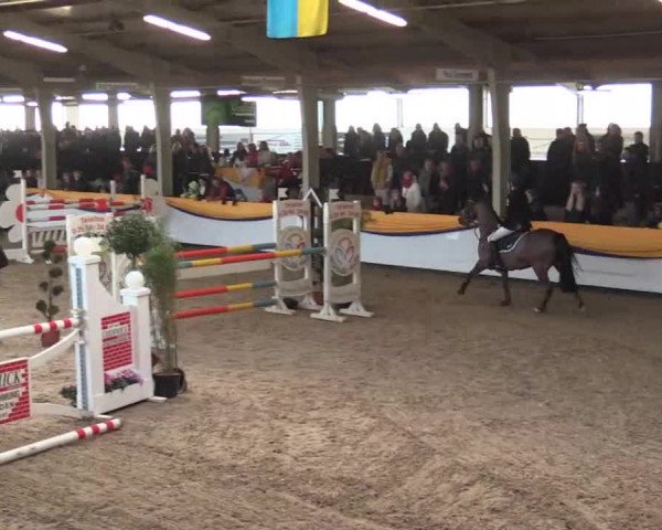Vreden 2014