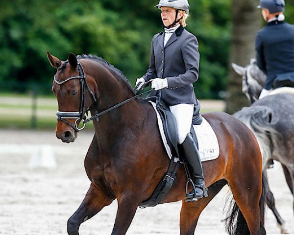 broodmare Dasadena (KWPN (Royal Dutch Sporthorse), 2008, from Lord Leatherdale)