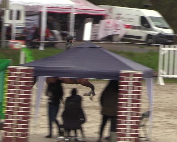 Reitturnier Langenleuba - Oberhain 2025
