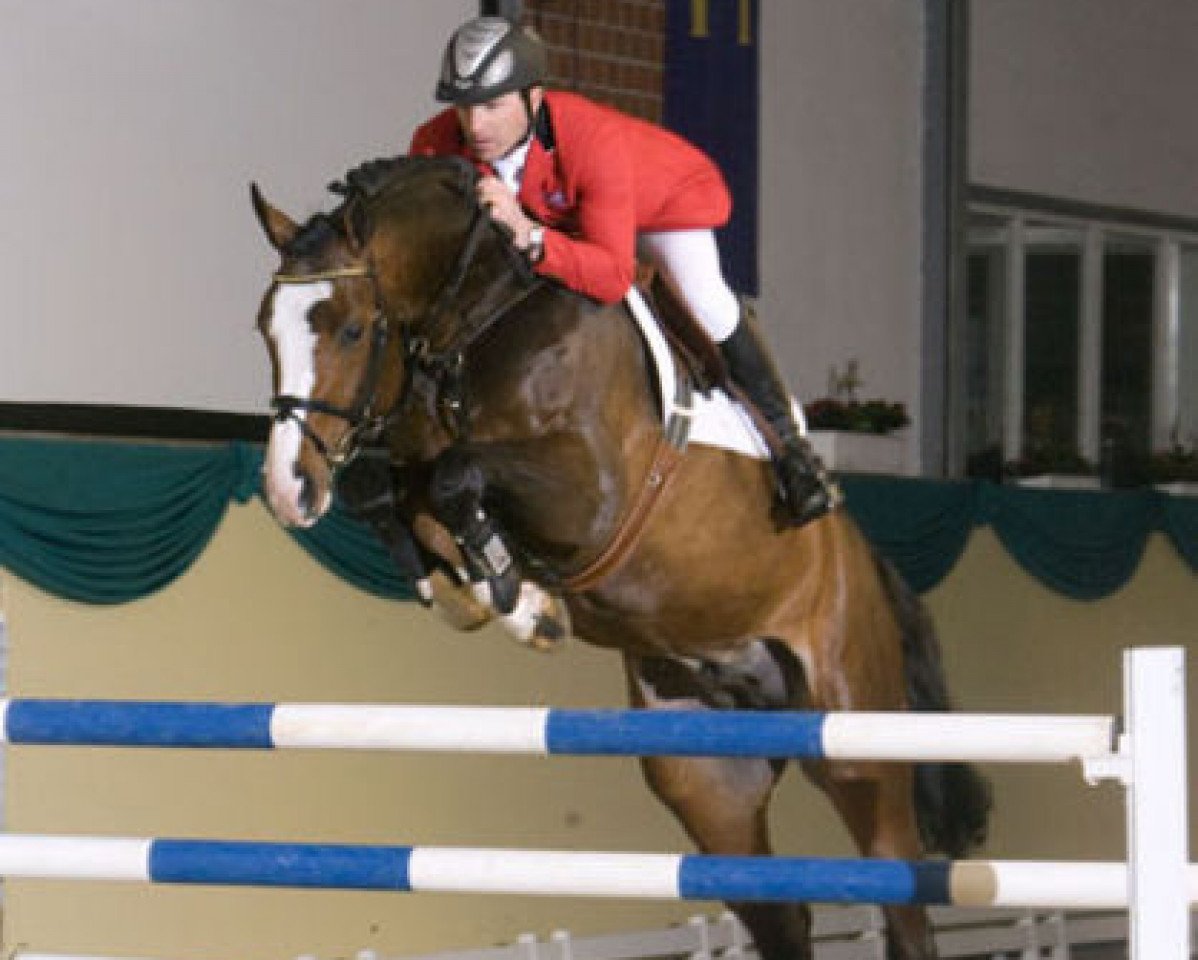 stallion Class de Luxe 2 (Hanoverian, 2002, from Contendro I)