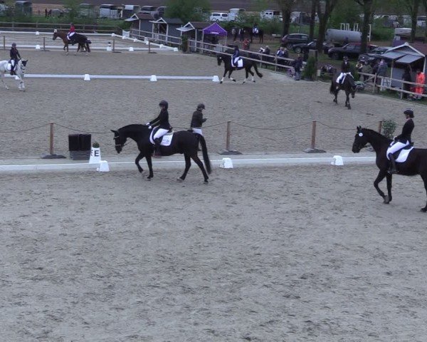 Reitturnier Scharnebeck 2025