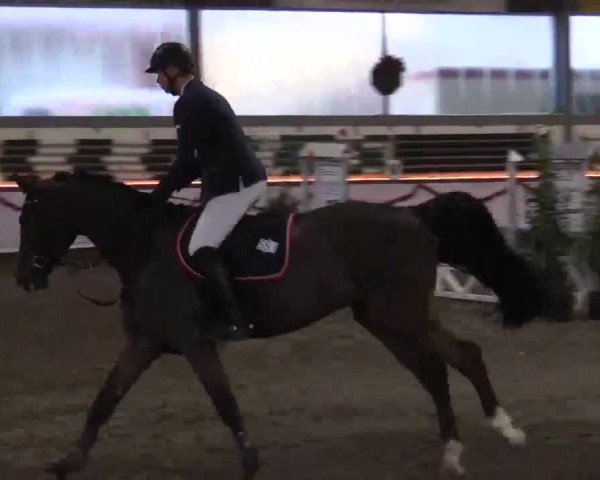 Hallen Late-Entry des RV Südlohn-Oeding 2014