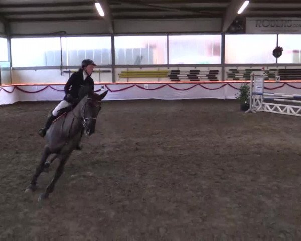 Hallen Late-Entry des RV Südlohn-Oeding 2014
