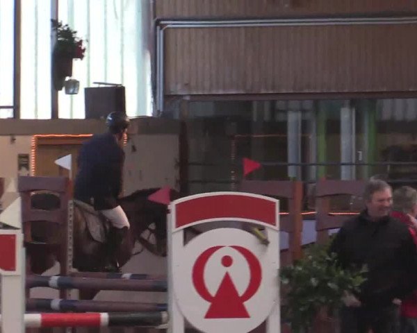 Hallen Late-Entry des RV Südlohn-Oeding 2014