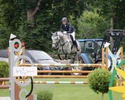 jumper First Fairytale (Hanoverian, 2014, from Fantastic)