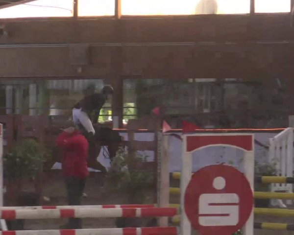 Hallen Late-Entry des RV Südlohn-Oeding 2014