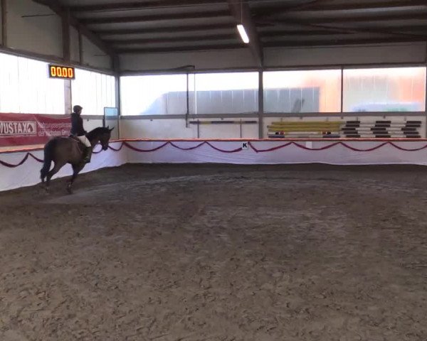 Hallen Late-Entry des RV Südlohn-Oeding 2014