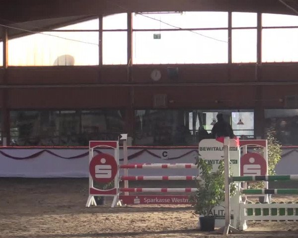 Hallen Late-Entry des RV Südlohn-Oeding 2014