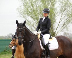 broodmare Dark Chocolate P (German Sport Horse, 2016, from Dante Weltino Old)