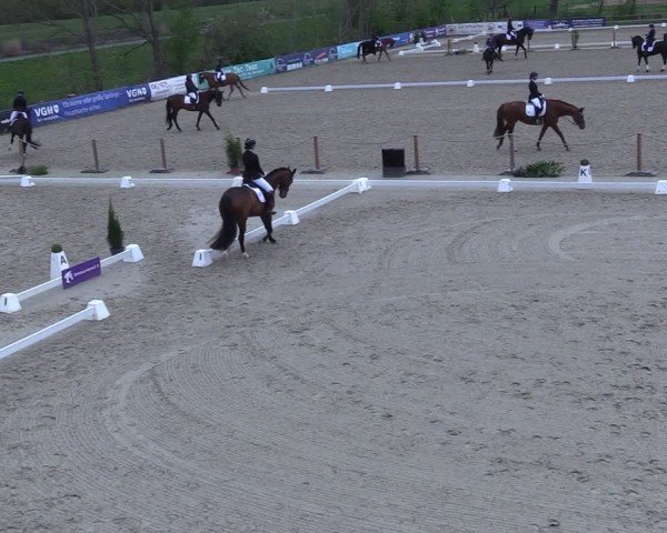 Reitturnier Scharnebeck 2025