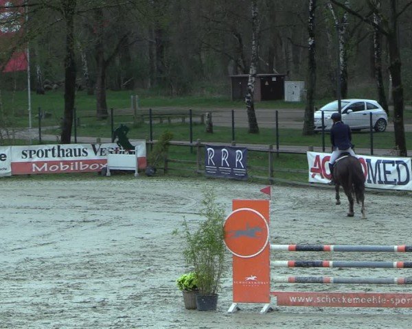 Reitturnier Westergellersen 2025