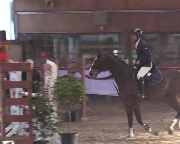Hallen Late-Entry des RV Südlohn-Oeding 2014