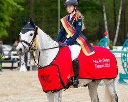 jumper Nashville B (German Riding Pony, 2009, from Nibelungenheld)