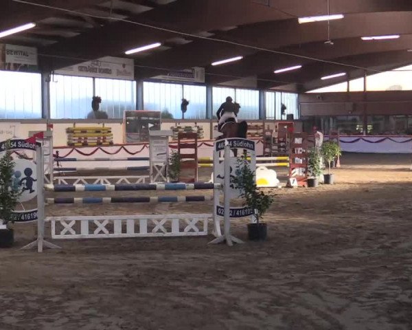 Hallen Late-Entry des RV Südlohn-Oeding 2014