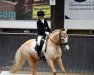 dressage horse Top Cinto (German Riding Pony, 2007, from Top Zento)