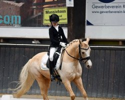 dressage horse Top Cinto (German Riding Pony, 2007, from Top Zento)