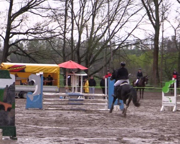Reitturnier Langenleuba - Oberhain 2025
