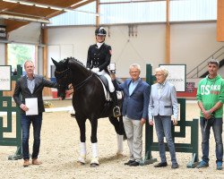 dressage horse Wild Willy Granly (Danish Warmblood, 2009, from de Noir 3)