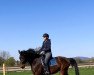 dressage horse Heiße Liebe B (Württemberger, 2011, from Hot Spirit)