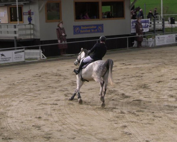 Reitturnier Duderstadt 2025