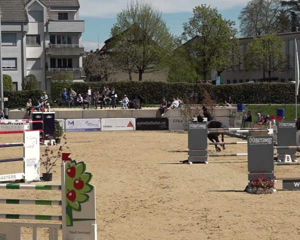 Reitturnier Amriswil 2025