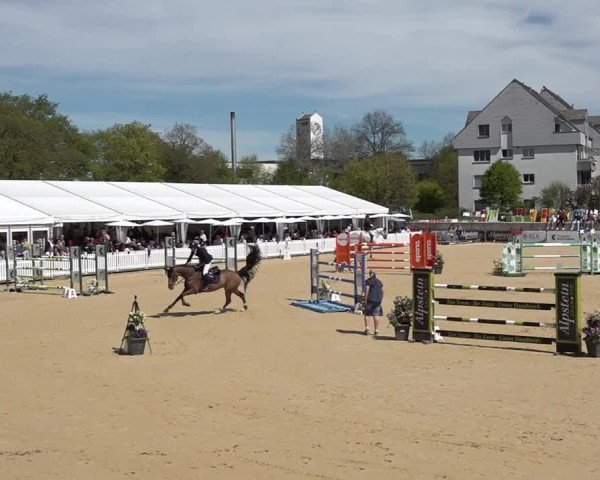 Reitturnier Amriswil 2025