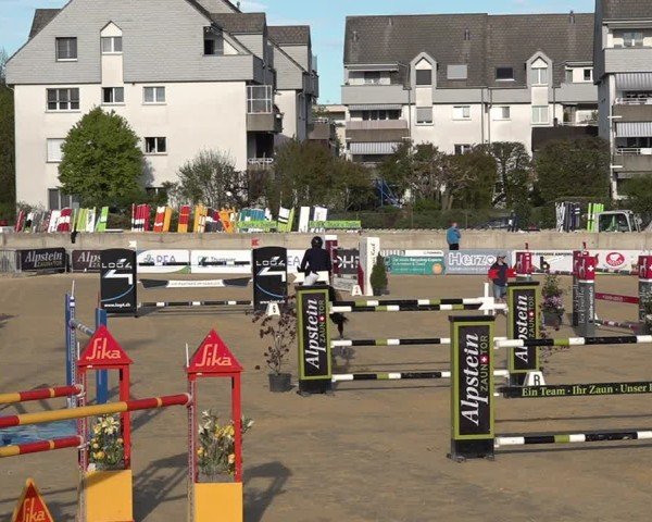Reitturnier Amriswil 2025