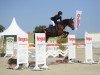 broodmare Daisy Dee Pj (Hanoverian, 2015, from Diarado)