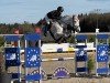 jumper Cayados (Holsteiner, 2012, from Cayado 3)
