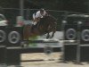 jumper Chuck 23 (Zweibrücken, 2006, from Calando V)