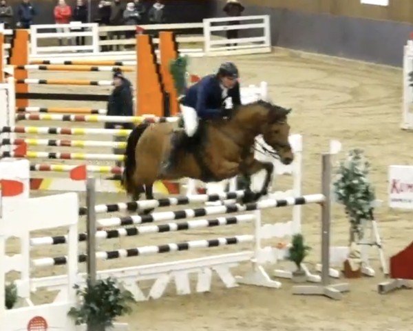 jumper Camprinus (Zweibrücken, 2007, from Calando V)