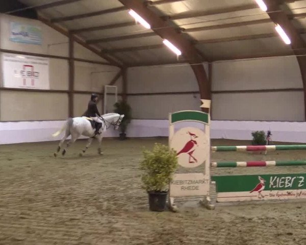 Hallenspringturnier Barlo Bocholt 2014